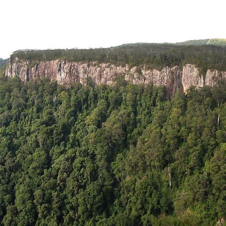 Springbrook Lyrebird Retreat Βίλα Εξωτερικό φωτογραφία