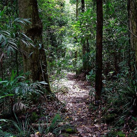 Springbrook Lyrebird Retreat Βίλα Εξωτερικό φωτογραφία