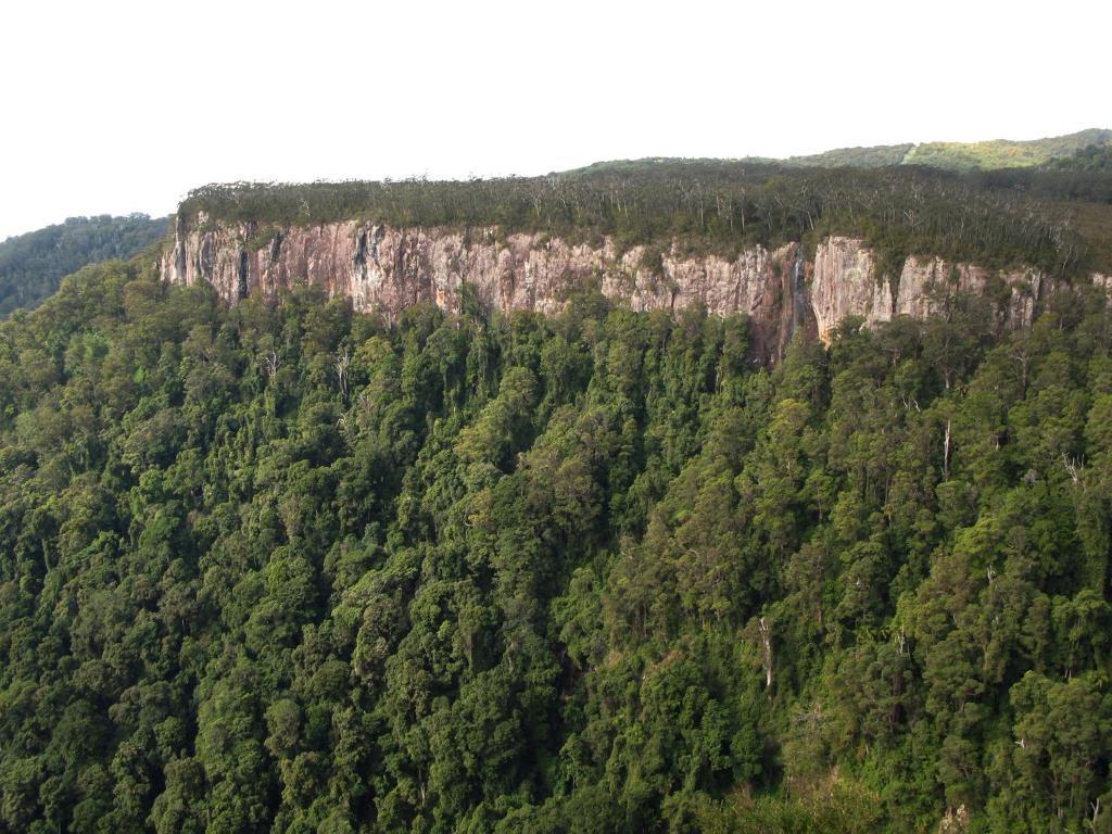 Springbrook Lyrebird Retreat Βίλα Εξωτερικό φωτογραφία