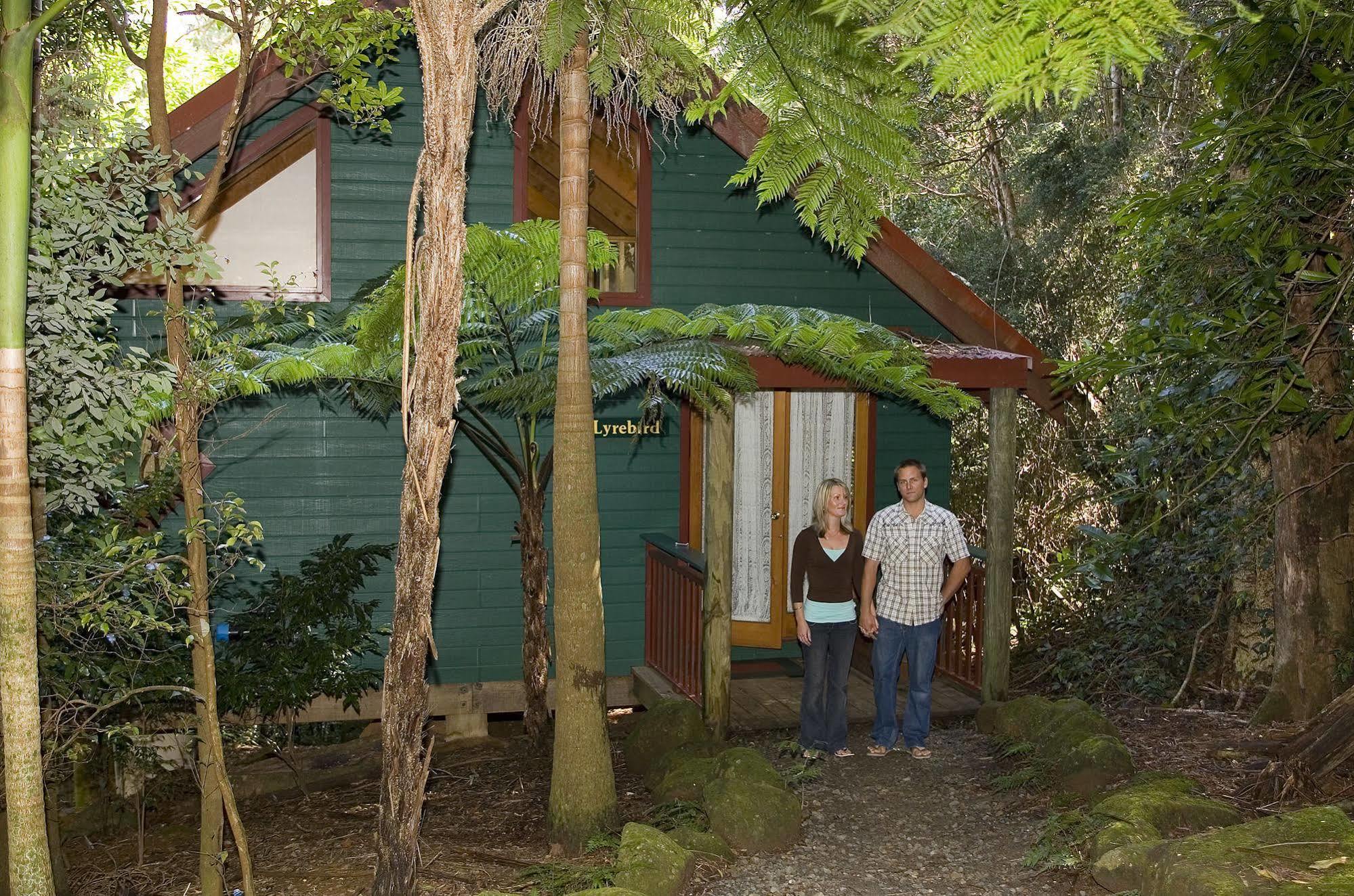 Springbrook Lyrebird Retreat Βίλα Εξωτερικό φωτογραφία