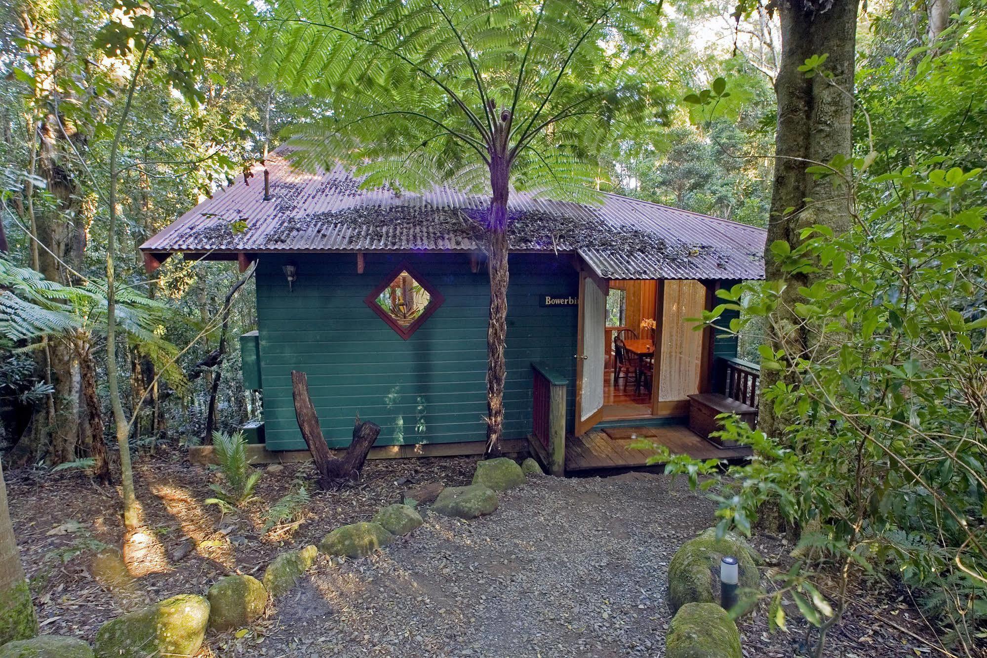Springbrook Lyrebird Retreat Βίλα Εξωτερικό φωτογραφία