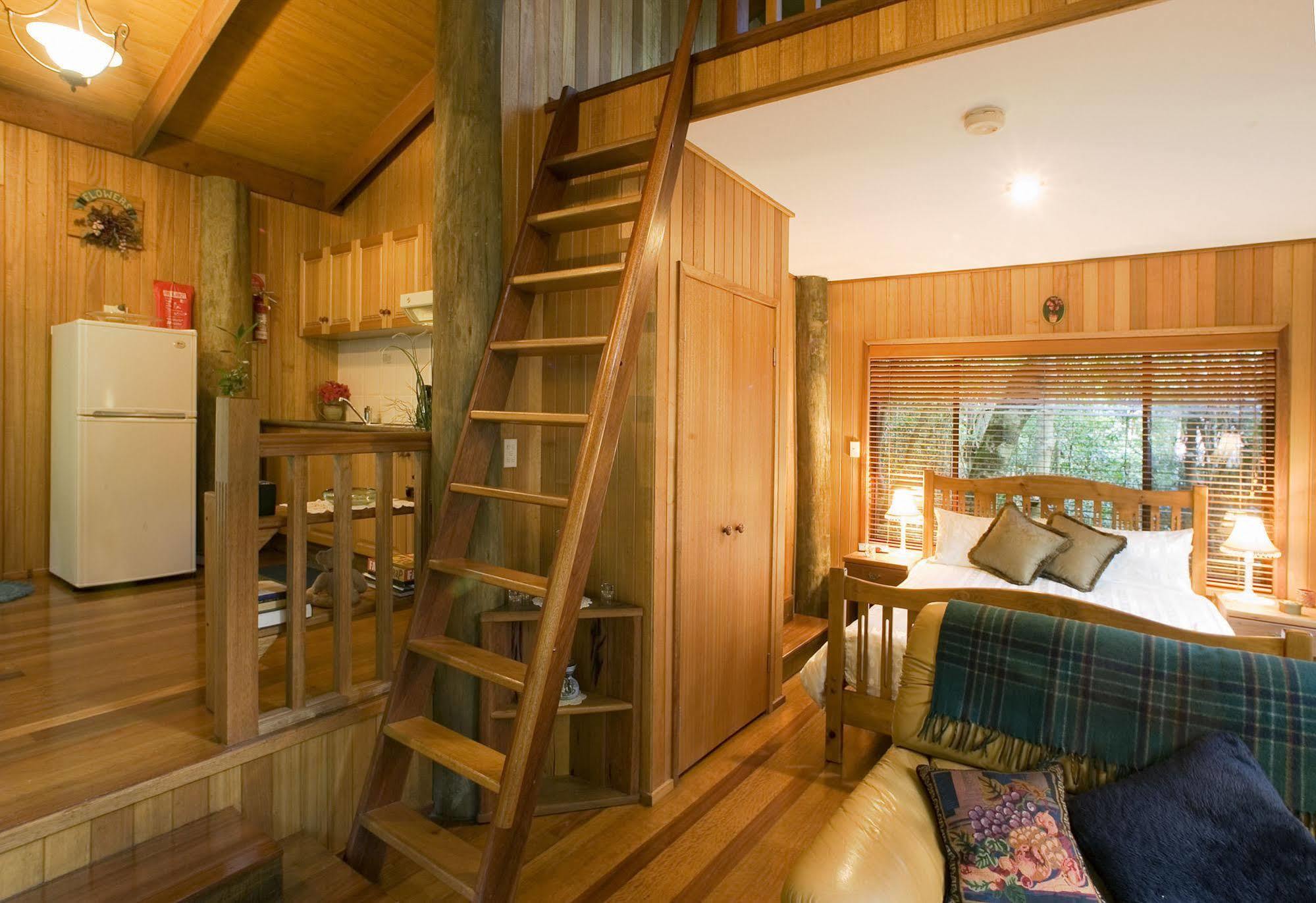 Springbrook Lyrebird Retreat Βίλα Εξωτερικό φωτογραφία