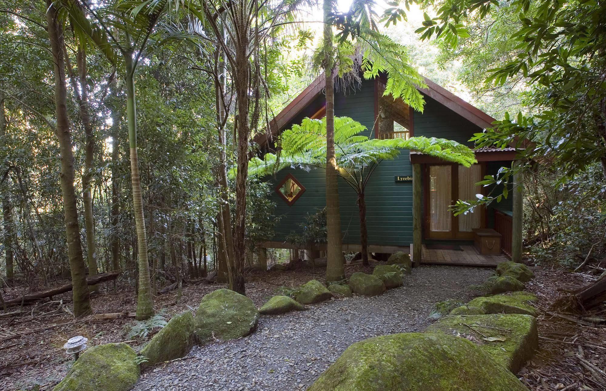 Springbrook Lyrebird Retreat Βίλα Εξωτερικό φωτογραφία