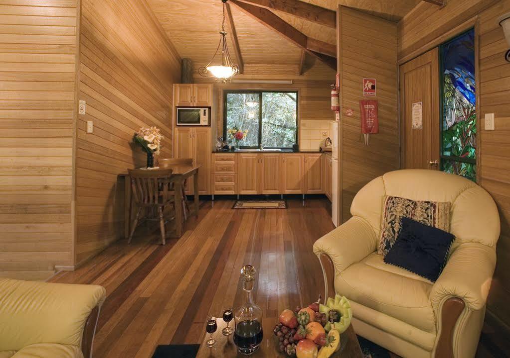 Springbrook Lyrebird Retreat Βίλα Εξωτερικό φωτογραφία