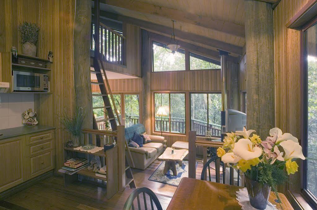 Springbrook Lyrebird Retreat Βίλα Εξωτερικό φωτογραφία